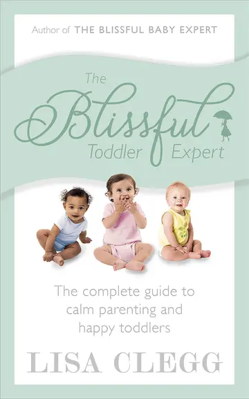 Cover of The Blissful Toddler Expert