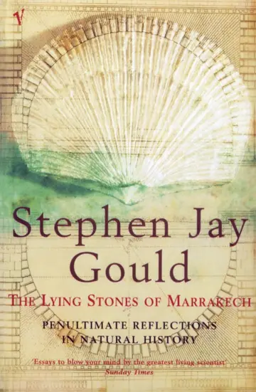 Cover of The Lying Stones of Marrakech