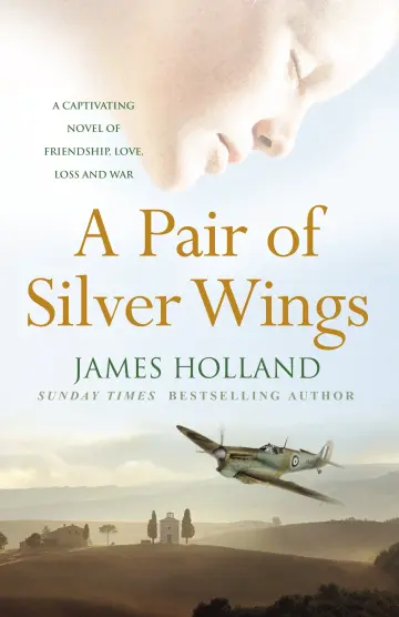 Cover of A Pair of Silver Wings