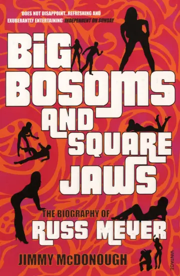 Cover of Big Bosoms and Square Jaws