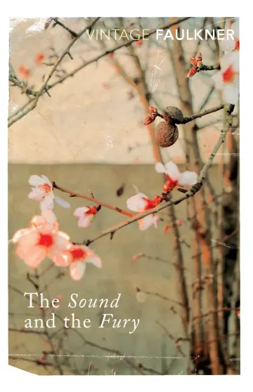 Cover of The Sound and the Fury