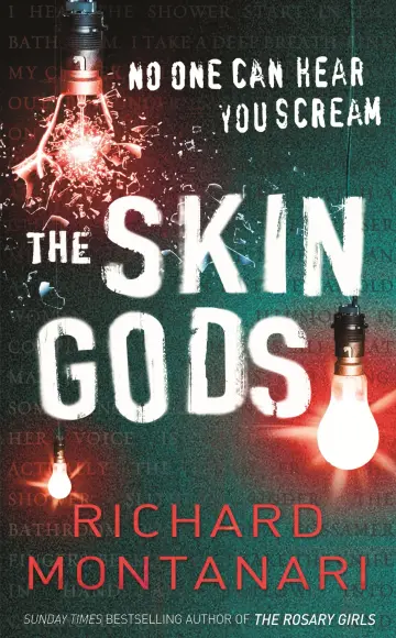 Cover of The Skin Gods