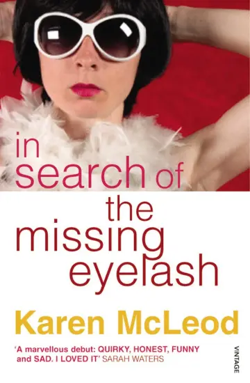 Cover of In Search of the Missing Eyelash