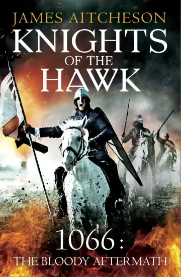 Cover of Knights of the Hawk