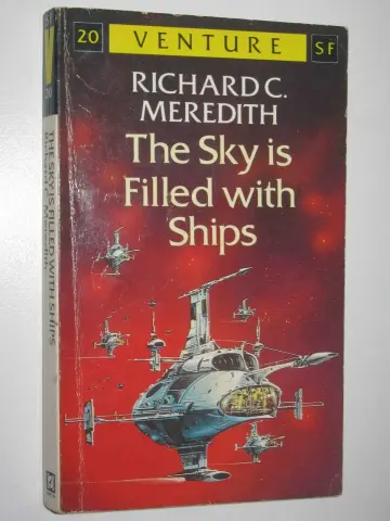 Cover of The Sky is Filled with Ships