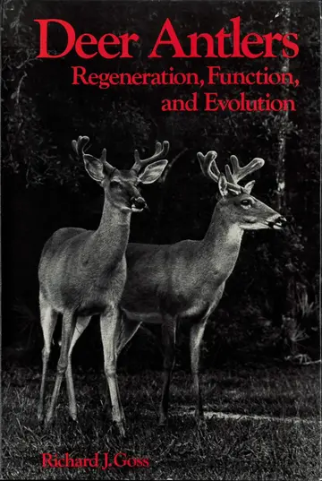 Cover of Deer Antlers