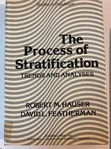 Cover of Process of Stratification