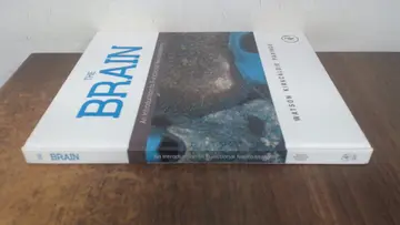 Cover of The Brain