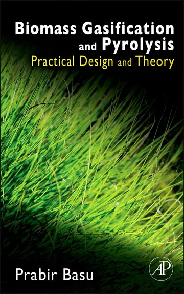 Cover of Biomass Gasification and Pyrolysis