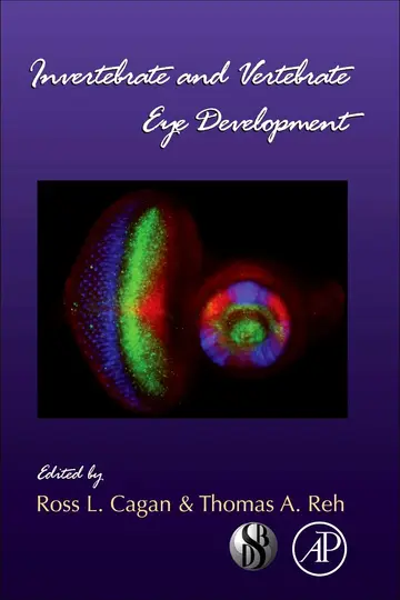 Cover of Invertebrate and Vertebrate Eye Development