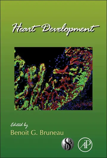 Cover of Heart Development