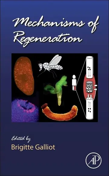 Cover of Mechanisms of Regeneration