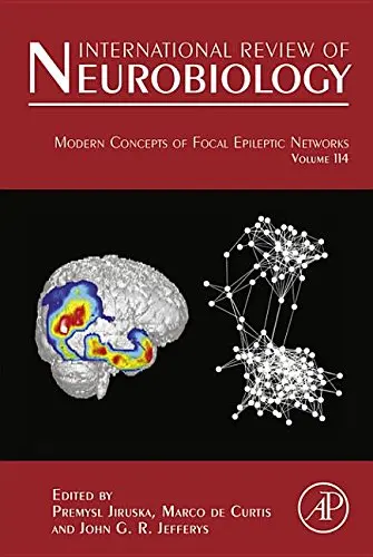 Cover of Modern Concepts of Focal Epileptic Networks
