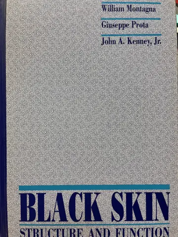 Cover of Black Skin