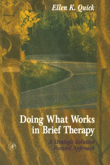 Cover of Doing What Works in Brief Therapy