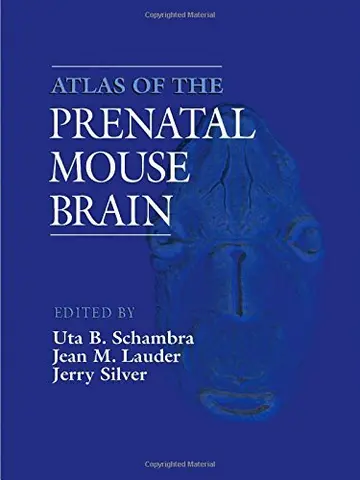 Cover of Atlas of the Prenatal Mouse Brain