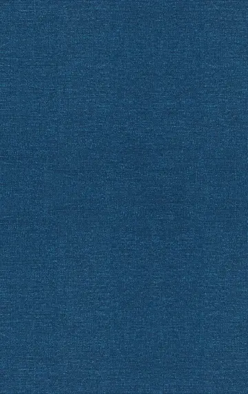 Cover of Leonardo Pisano (Fibonacci)