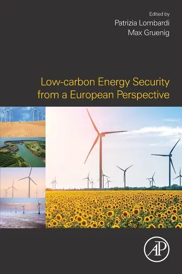 Cover of Low-carbon Energy Security from a European Perspective