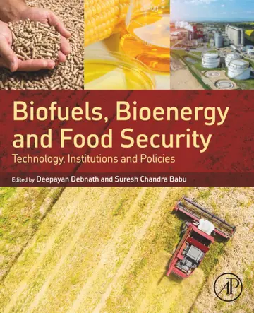 Cover of Biofuels, Bioenergy and Food Security
