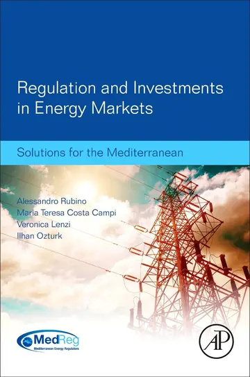 Cover of Regulation and Investments in Energy Markets