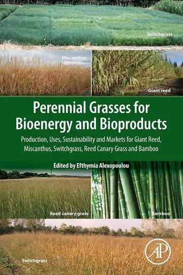 Cover of Perennial Grasses for Bioenergy and Bioproducts