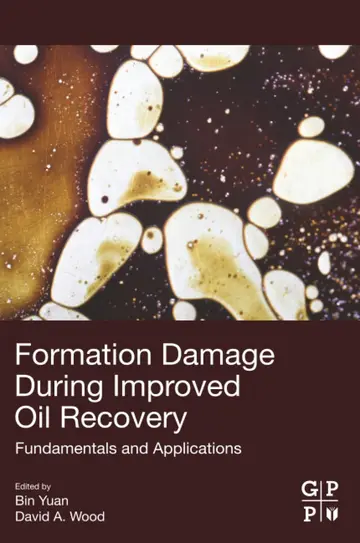 Cover of Formation Damage during Improved Oil Recovery