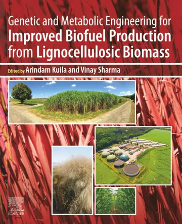 Cover of Genetic and Metabolic Engineering for Improved Biofuel Production from Lignocellulosic Biomass