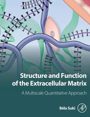 Cover of Structure and Function of the Extracellular Matrix