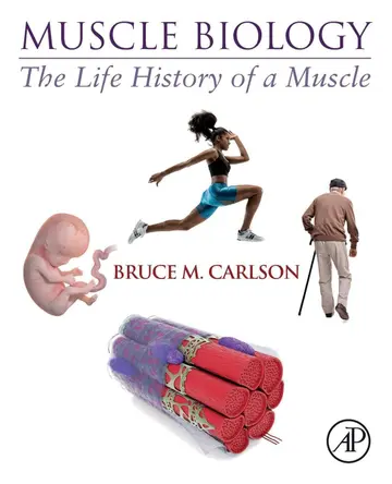 Cover of Muscle Biology