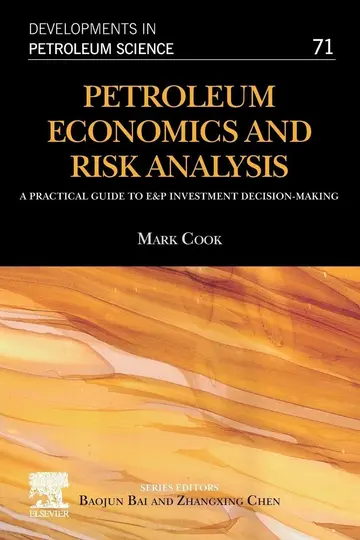 Cover of Petroleum Economics and Risk Analysis