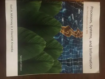 Cover of Processes, Systems, and Information