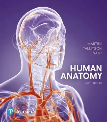 Cover of Human Anatomy