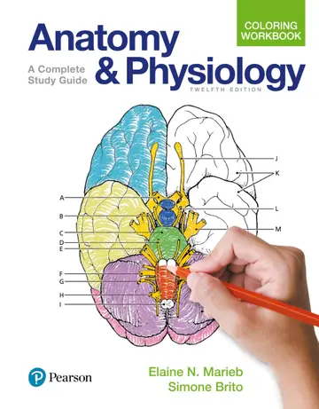 Cover of Anatomy and Physiology Coloring Workbook