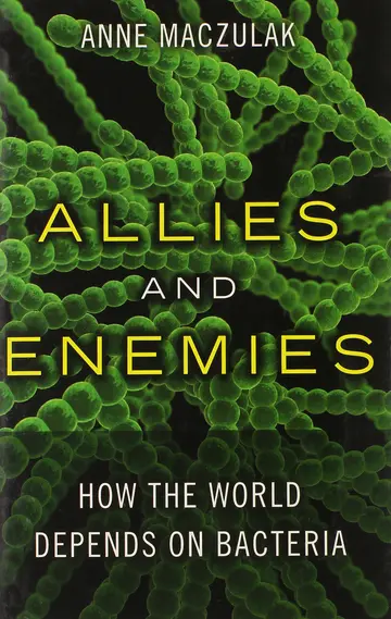 Cover of Allies and Enemies