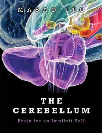 Cover of Cerebellum, the