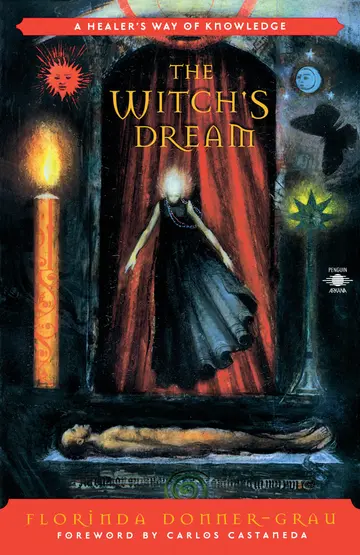 Cover of The Witch's Dream