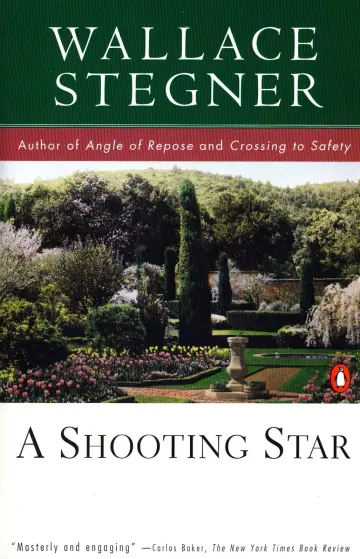 Cover of A Shooting Star