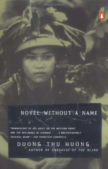 Cover of Novel without a Name