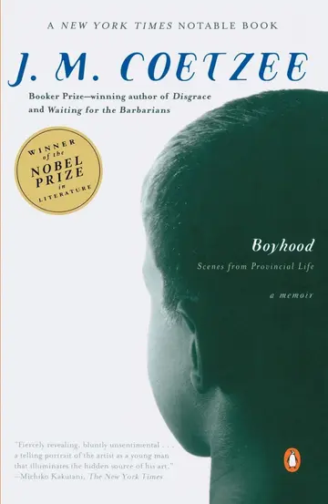 Cover of Boyhood