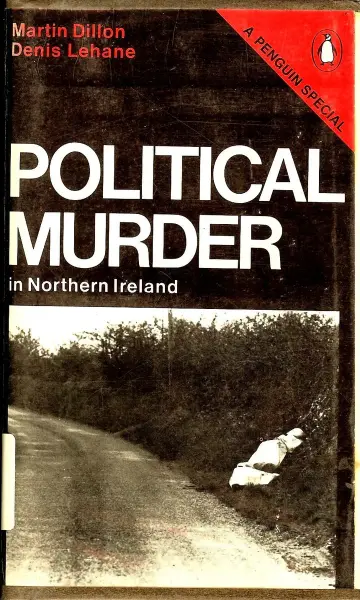 Cover of Political Murder in Northern Ireland