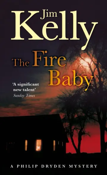 Cover of The Fire Baby