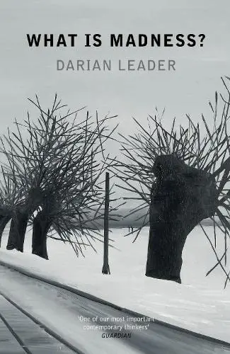 Cover of What is Madness?