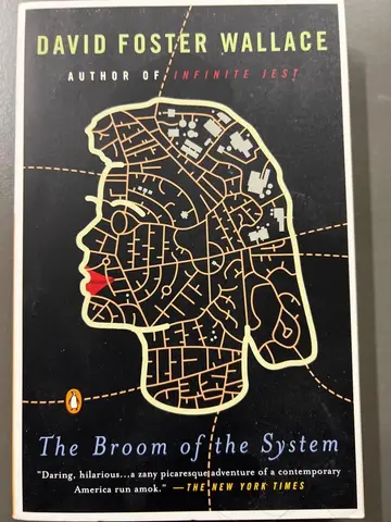 Cover of The Broom of the System