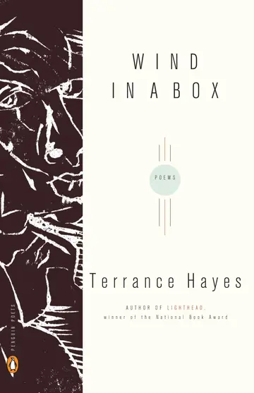 Cover of Wind in a Box