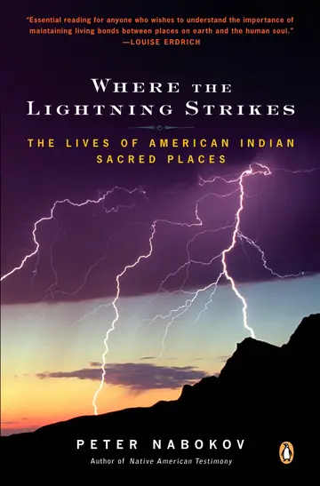 Cover of Where the Lightning Strikes