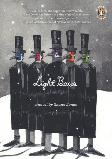 Cover of Light Boxes