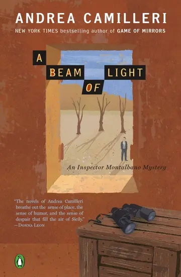 Cover of A Beam of Light