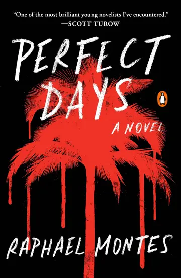 Cover of Perfect Days