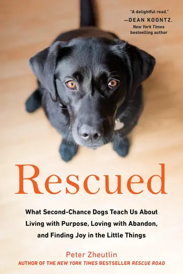 Cover of Rescued