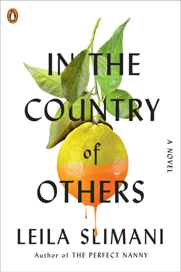 Cover of In the Country of Others